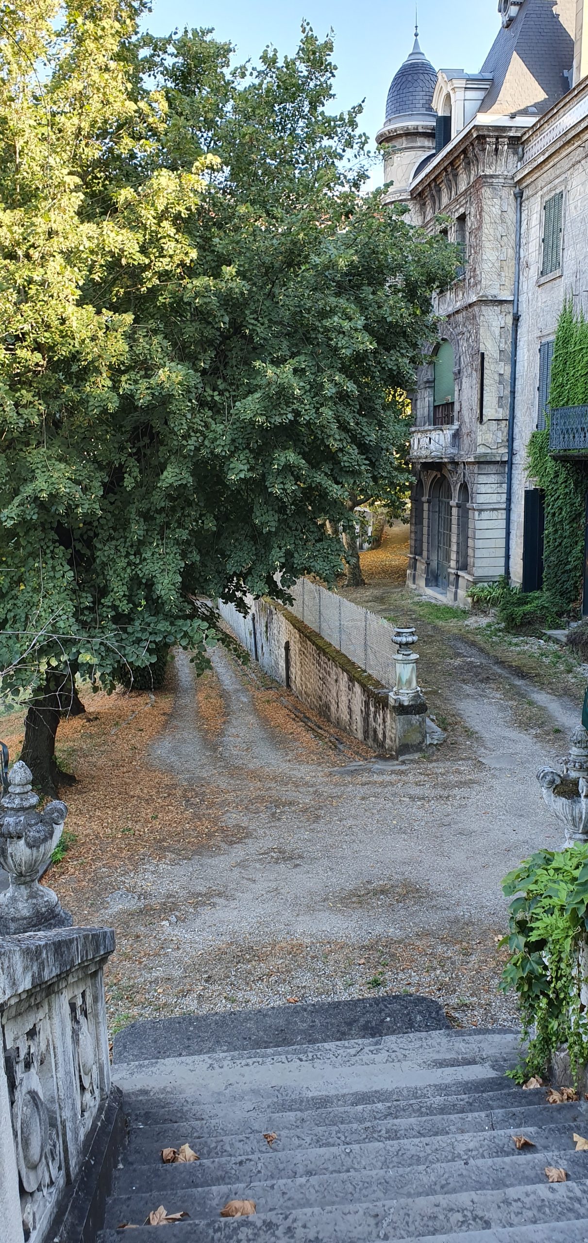 20190731 190749 Scaled